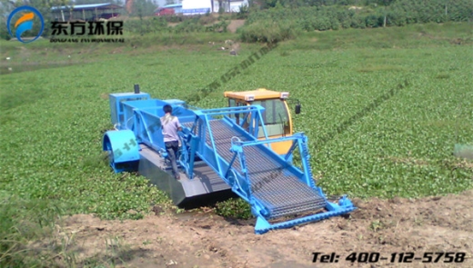 201791113420782 (1).jpg